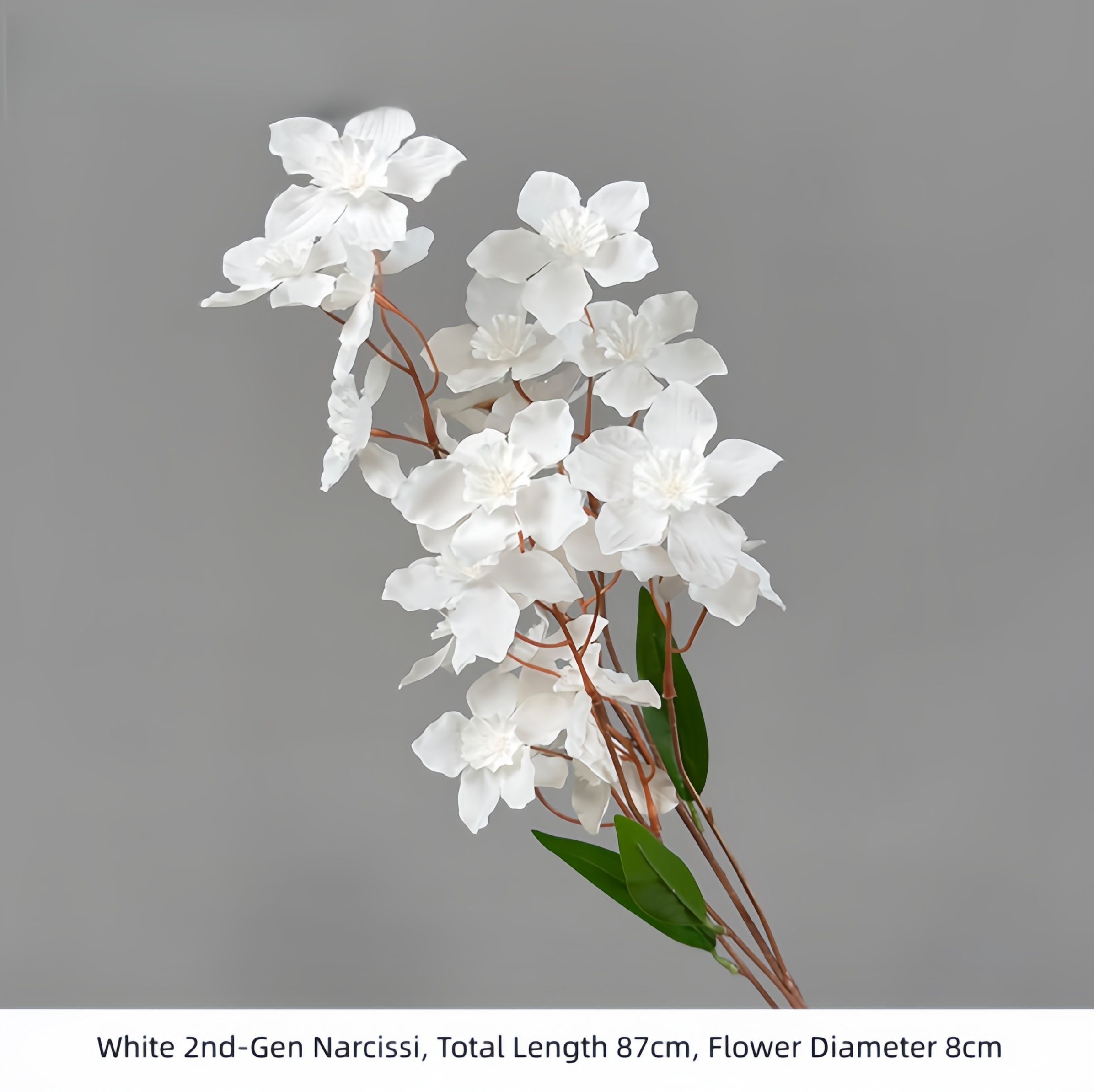 White 2nd-Gen Narcissi