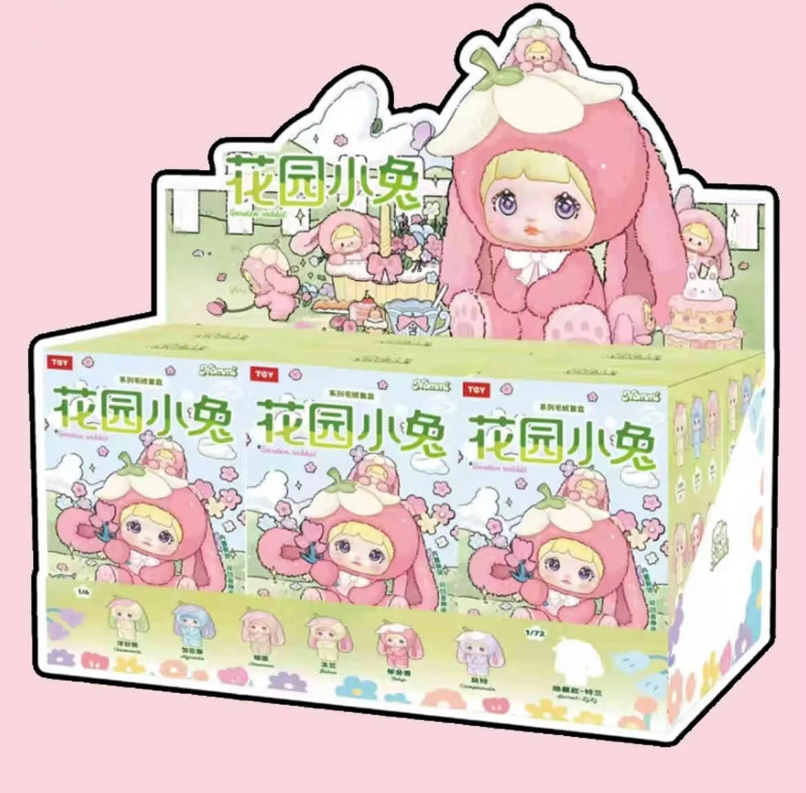 6 Box/Set