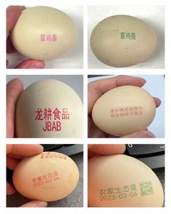 Expiration Date New Condition Retail Printing Shops High Quality Automatic Tij Printer Egg Inkjet Machine for Continuous <strong>Coding</strong> - Product Image 5