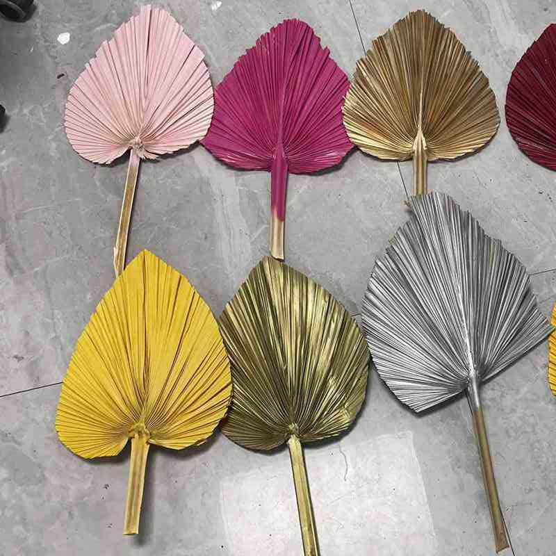 multicolore