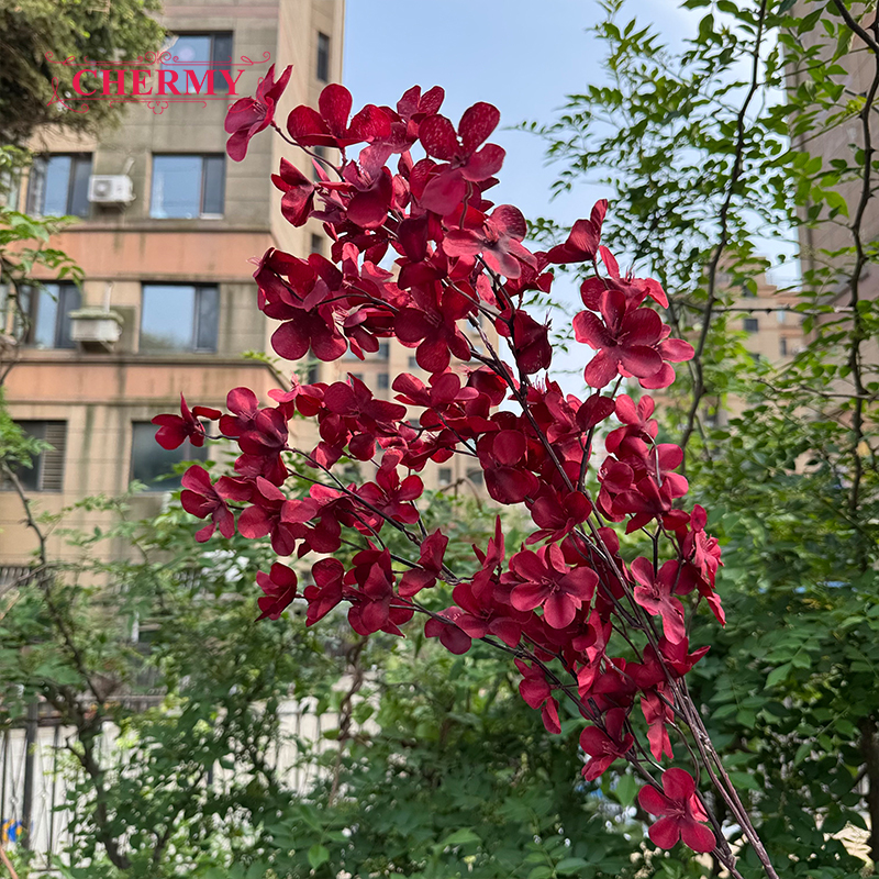 01 Rosso scuro