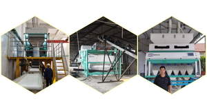 5 scivoli prezzo di fabbrica macchina di smistamento di plastica di colore - Product Image 6