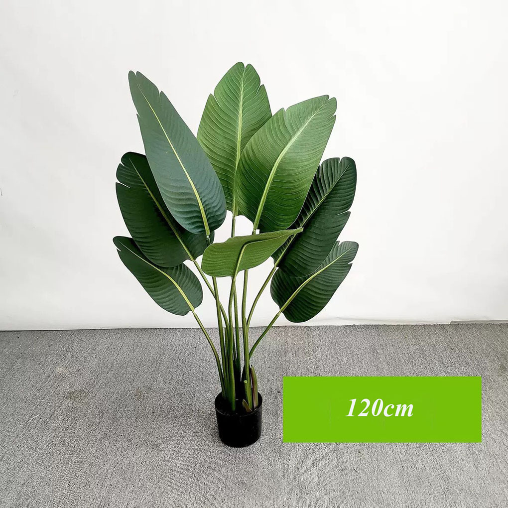 120cm 8 feuilles