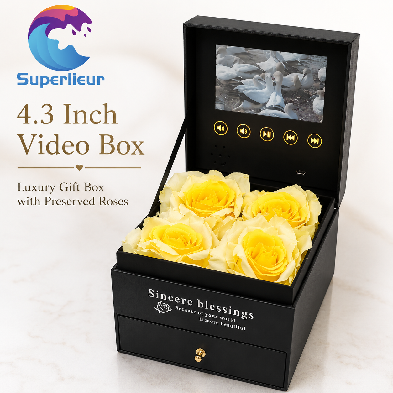 4.3inch Video Box