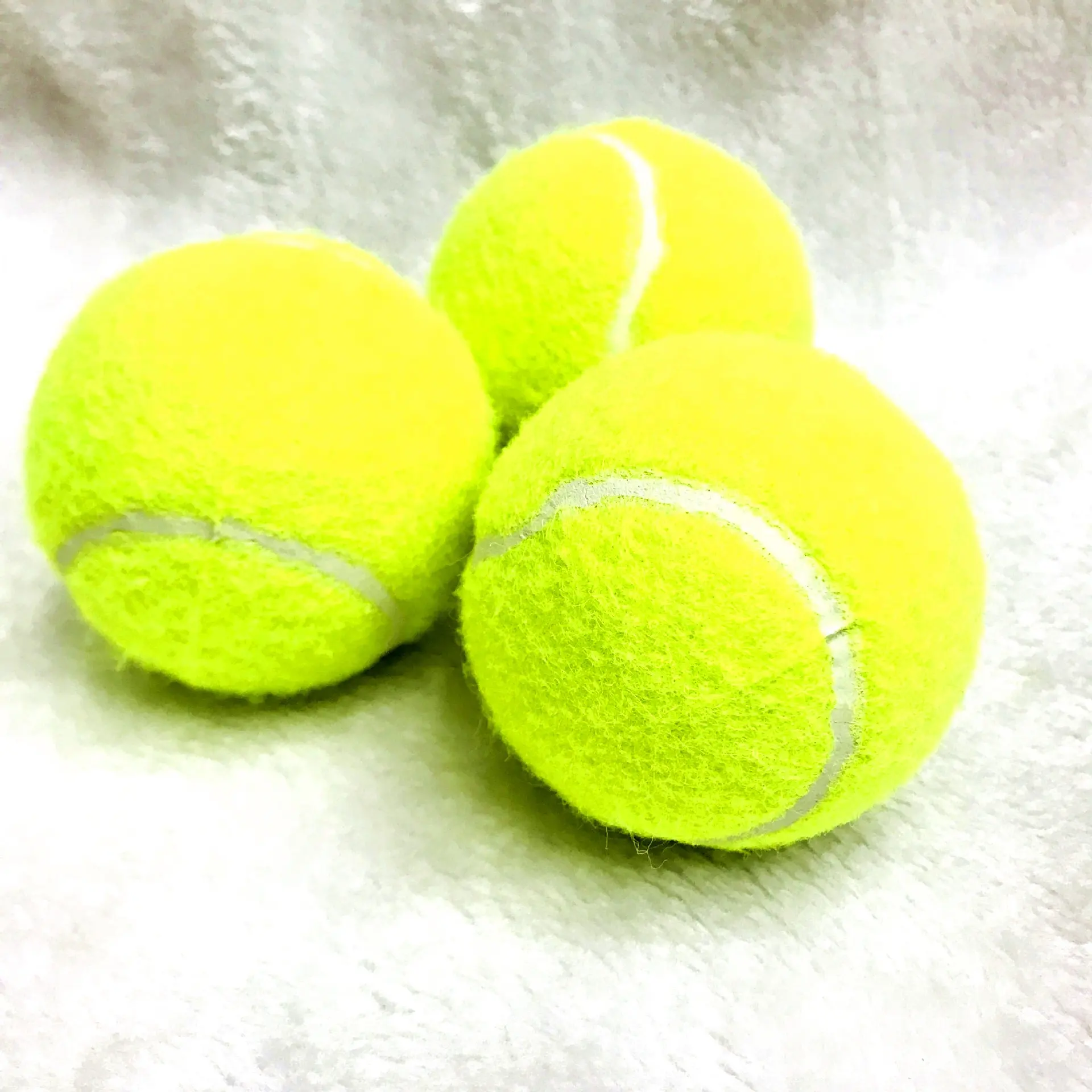 Bola Tenis Hewan Peliharaan Warna Logo Kustom