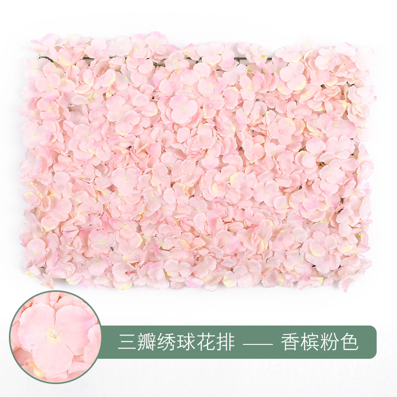 Rangée d'hortensia à trois pétales-rose champagne