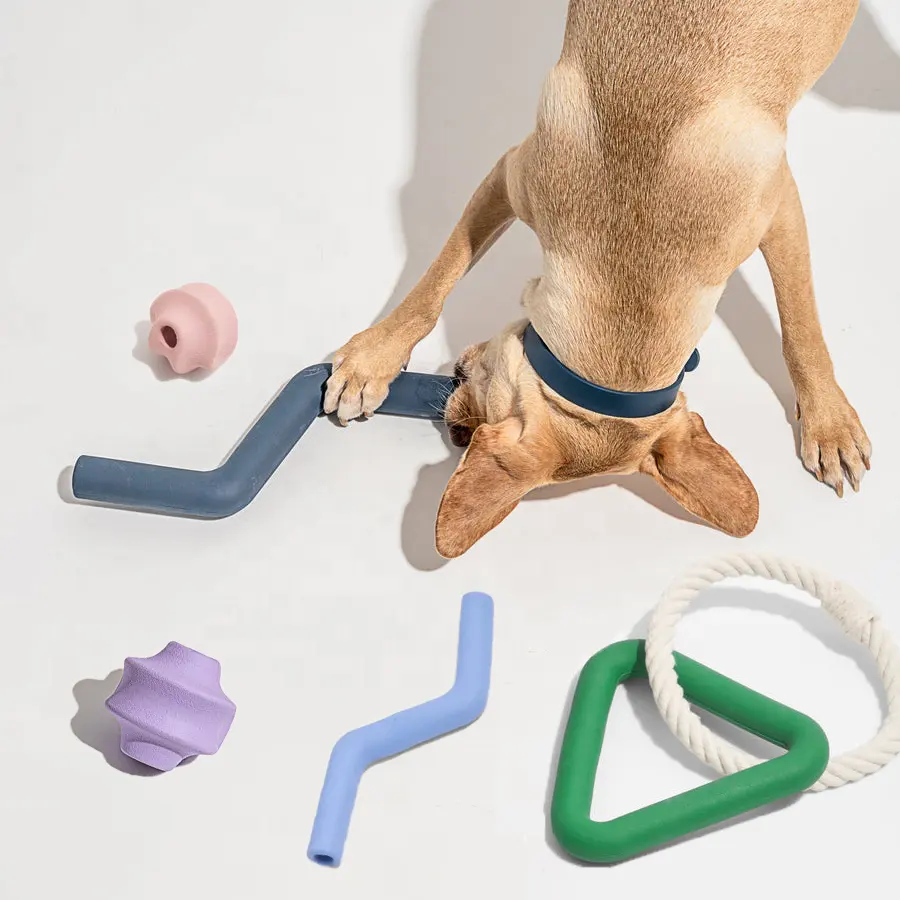 Ensemble de jouets à mâcher pour chien, fabricant personnalisé, de luxe, extrêmement Durable, d'entraînement, boule de morsure sur corde en caoutchouc naturel, 2023