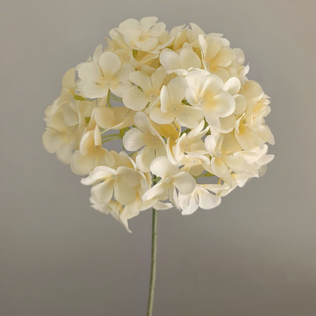 90 Petals Hydrangea-Champagne-70cm