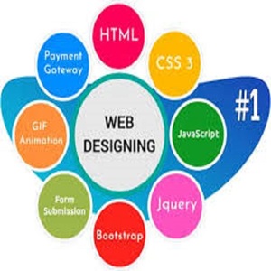 B2B & B2C Webサイト向けの最高の卸売ソフトウェアWebデザインSEOEコマースアプリビルダーマーケティング & B2BセールストップWebサイトデザイナー - Product Image 4