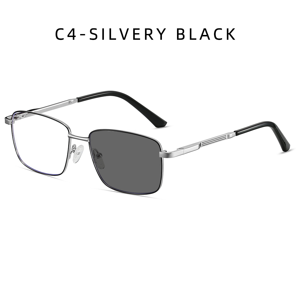 C4(SILVERY BLACK)