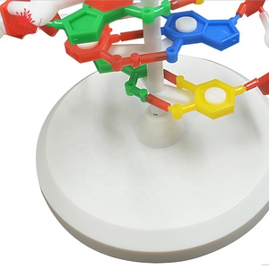 Edical eaching-olor Uman, oruga Odel, elix - Product Image 4