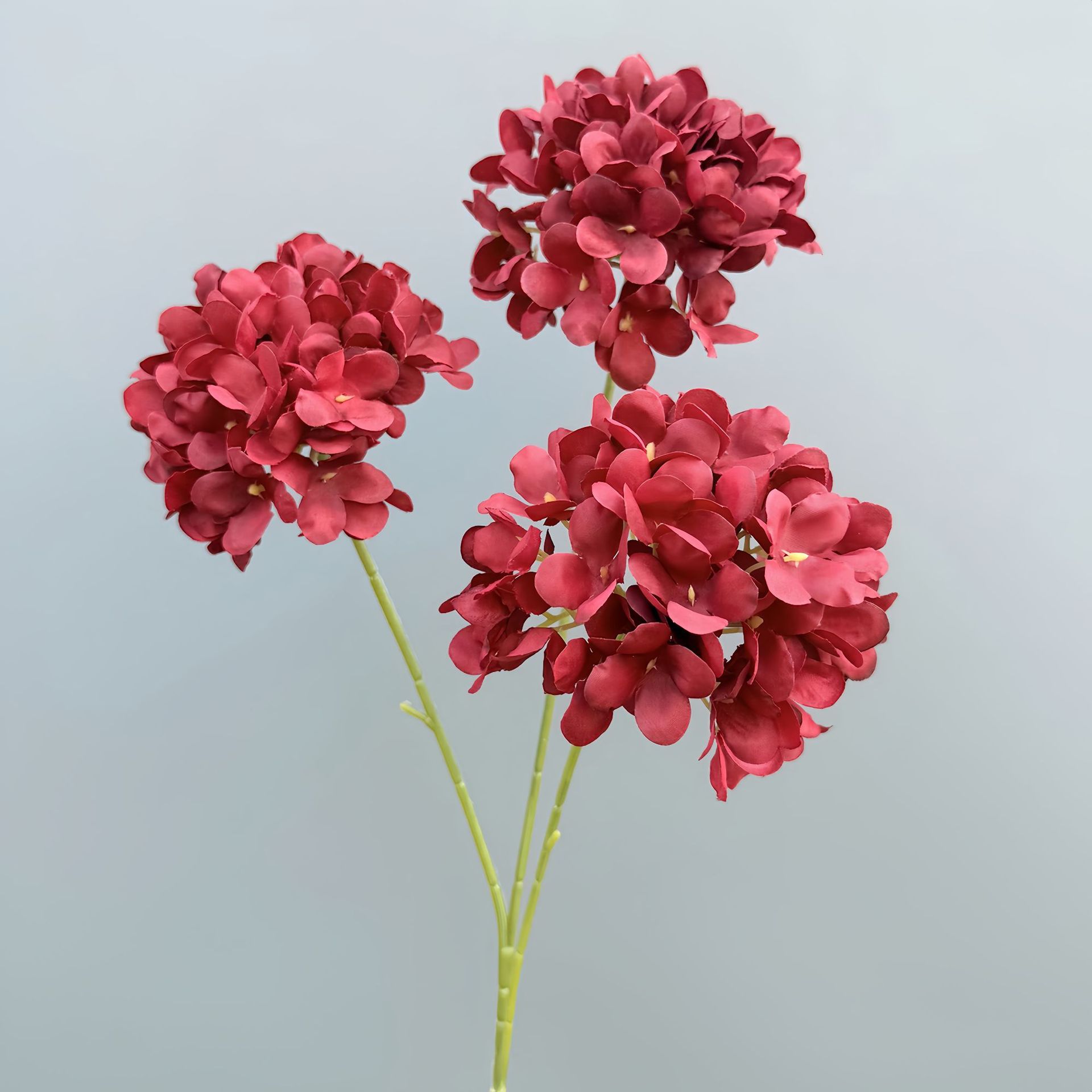 3 têtes d'hortensia-rouge-71 cm