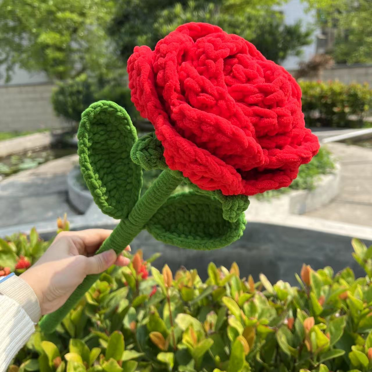 Rosa roja con rayas de hielo