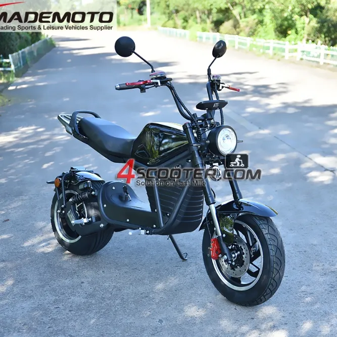 EEC COC 2000W 3000W due ruote adulto a lungo raggio magazzino europeo 3 Trike Scooter Fat Scooter 1000w moto elettrica