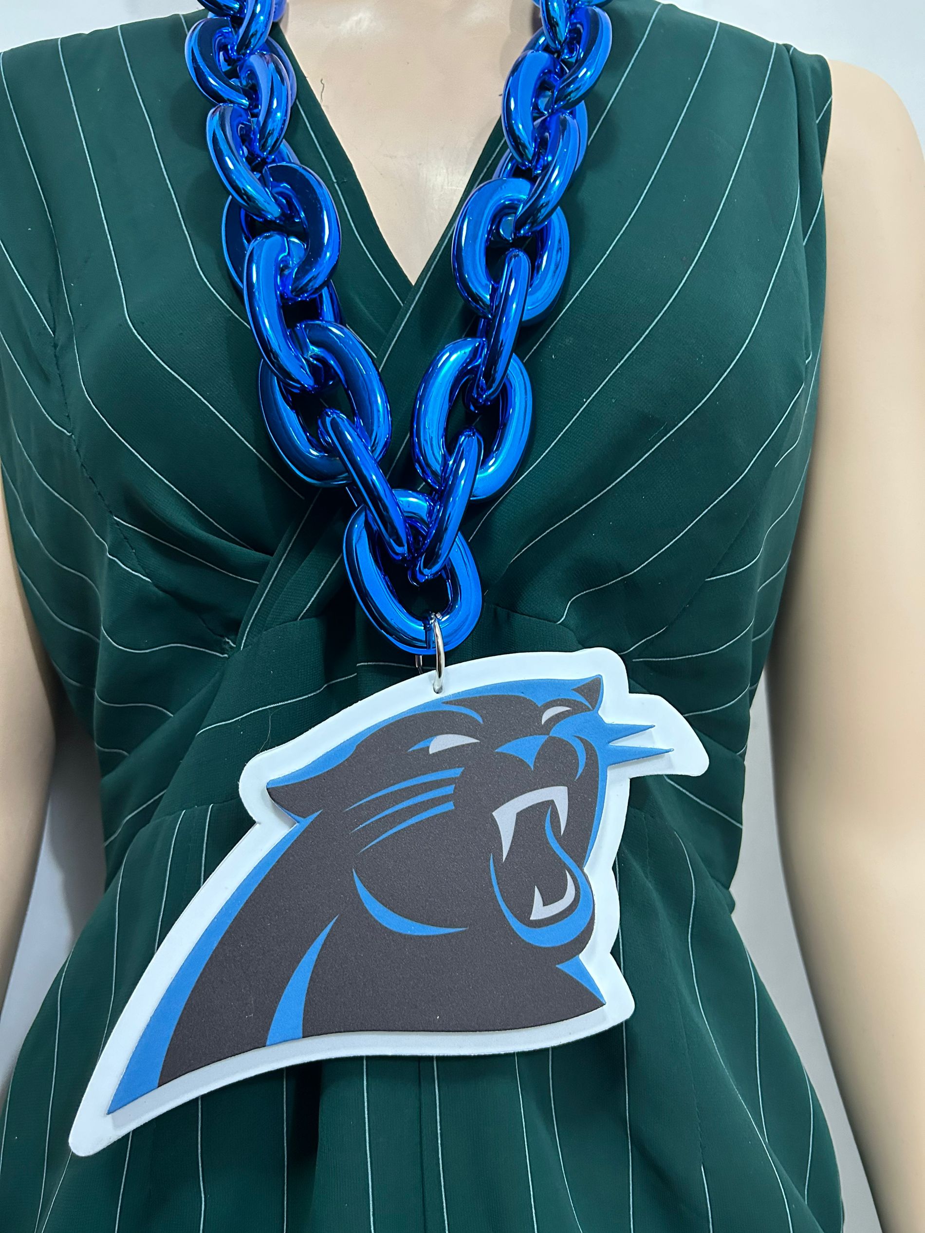 Panthers de la Caroline