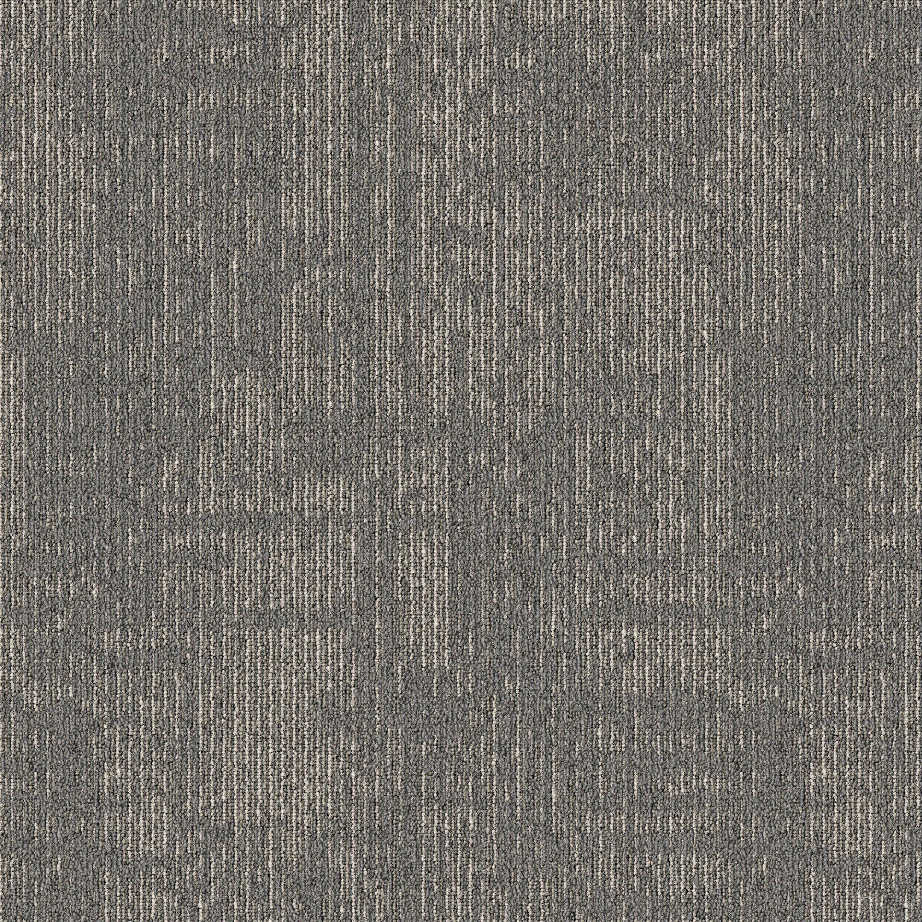 Grey12