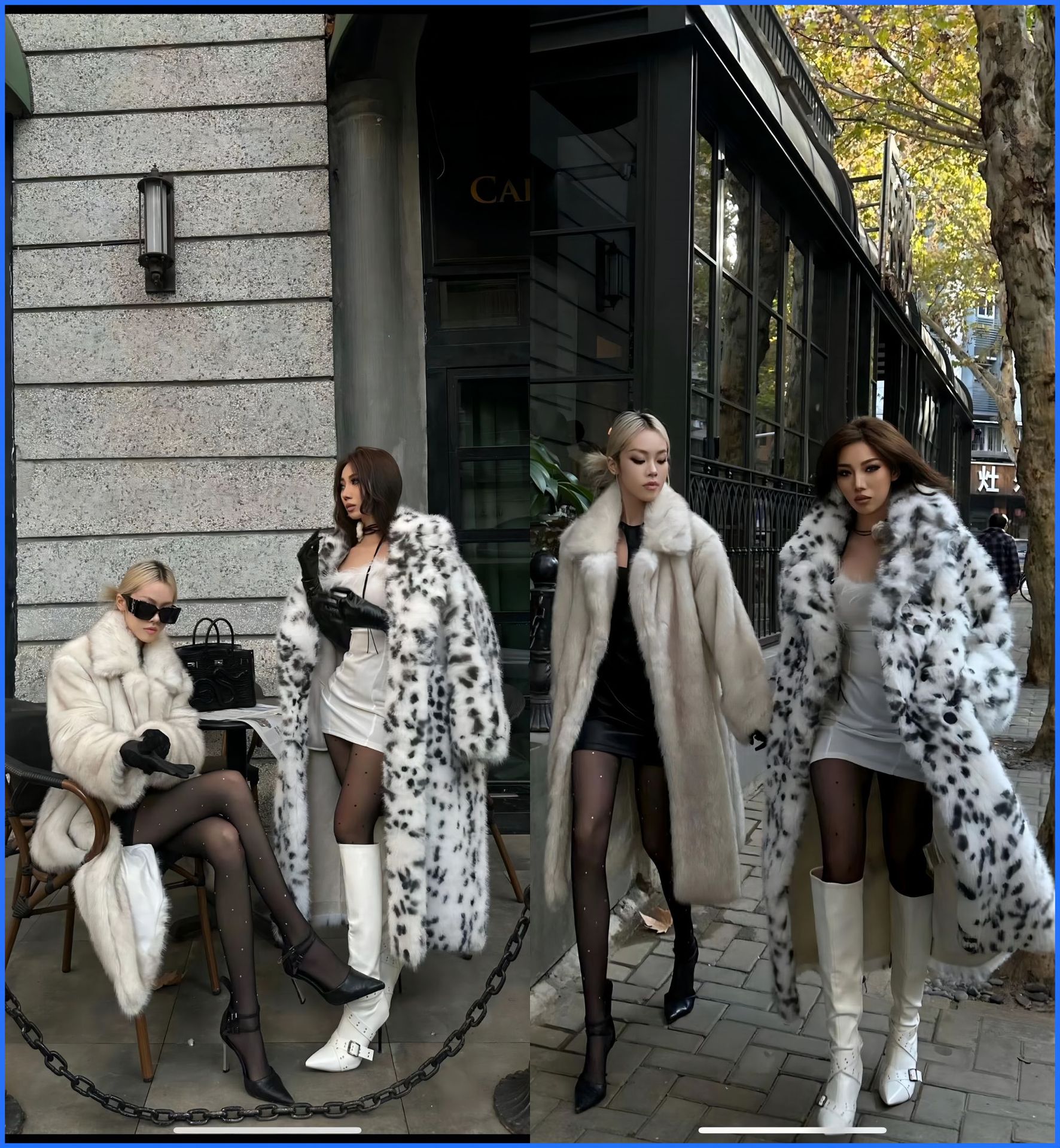 White dot leopard print
