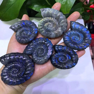 Fósil de labradorita de color natural tallado a mano, conchas de cuarzo, especímenes de caracol, venta al por mayor - Product Image 5