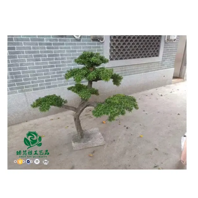 Zhen xinQi工芸品日本の緑の松のカエデ植物盆栽