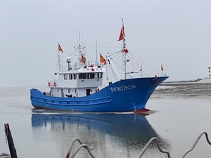 Bateaux de pêche au chalut à thon commerciaux de 36.2m bateaux de chalut de barre d'or à vendre matériel de coque en acier - Product Image 2