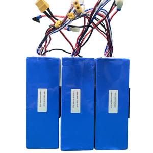 Elektrikli araçlar için dayanıklı lityum demir fosfat pil özel şarj edilebilir LFP 26650 7S1P 22.4v Electric 2500 çevrim ömrü (EV) - Product Image 1