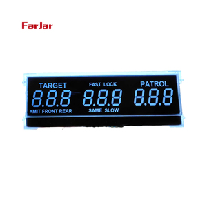 Pantalla LCD de segmento personalizado Precio barato Pantalla de visualización de segmento TN HTN fstn va LCD 7 Módulo de pantalla LCD de segmento monocromático