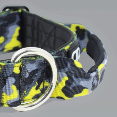 Camuflaje de un rayo