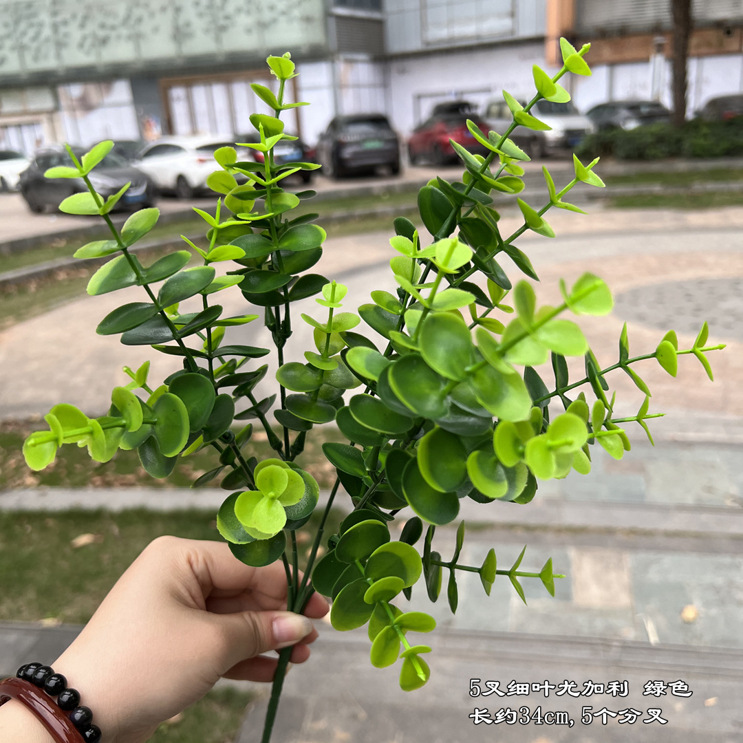 5 fourchettes feuille fine eucalyptus vert