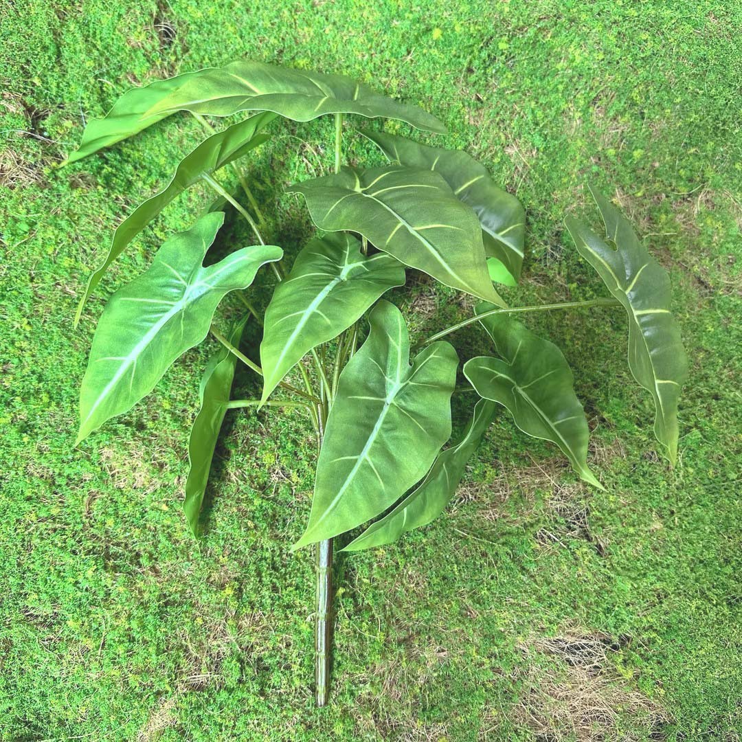 Green 6#