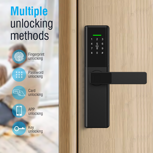 Te'an Smart Oem Digitales Türschloss Finger abdruck Passwort App-Karte für Messing Stahltüren Schlüssel zugang Elektrischer Hebel Griffs chlösser - Product Image 2