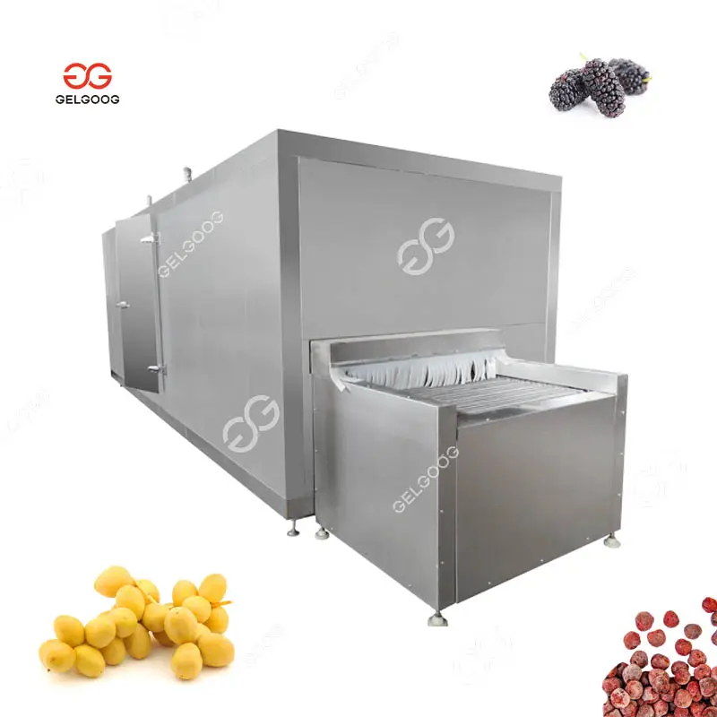 Gelgoog Trái Cây Thiết Bị Chế Biến Iqf Làm Mát 500 kg/giờ Tùy Chỉnh Barhi Ngày Trái Cây Tủ Đông Máy