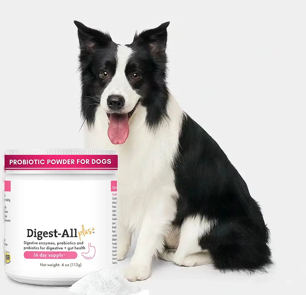 Probiótico para mascotas D vitamina probióticos para perros OEM Probióticos para perros para la salud intestinal Alergias estacionales Soporte digestivo