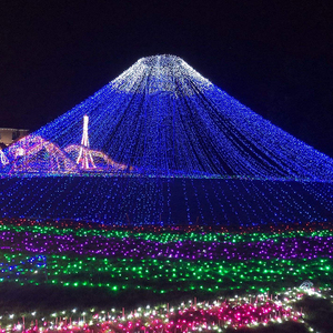 Christmas Multicolor Holiday Decorative Fairy <strong>Light</strong> <strong>Custom</strong> Led <strong>String</strong> <strong>Lights</strong> Outdoor IP65 Waterproof - Product Image 2