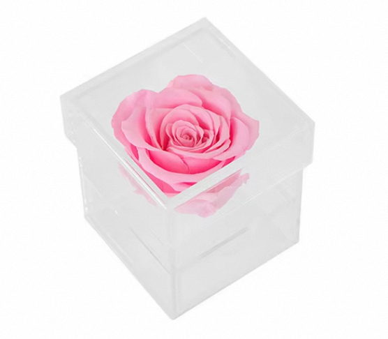 1 Rose - With Drawer