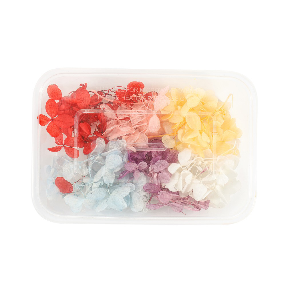 Une boîte de fleurs séchées aux couleurs fixées - Hortensia macrophylla
