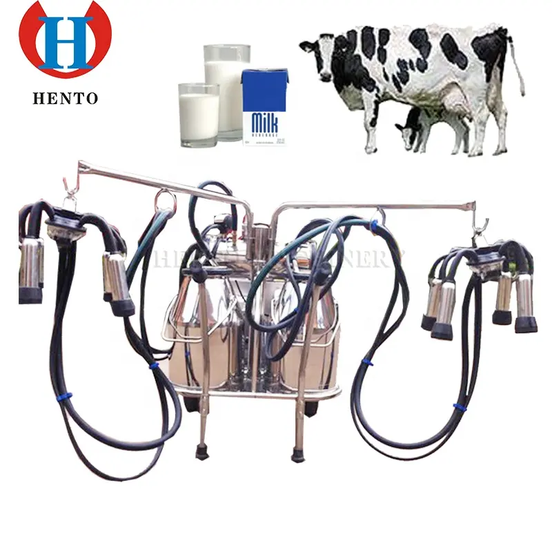 Machine automatique d'extraction de lait de vache/vache, équipement agricole