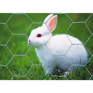 Hohe Qualität Niedriger Preis Sechseckiges Hühner draht geflecht Netz Stahl Tierzaun oder Käfig mit Schweiß verarbeitung service - Product Image 1