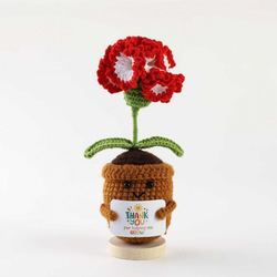 Carnation gradient red