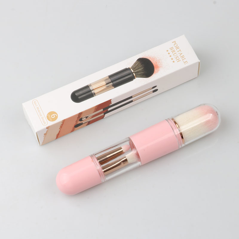 6in1 Portable Makeup Brush - Pink in Color Box