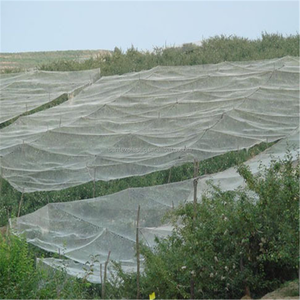 Fabricante de redes de plástico Red transparente para pájaros/Malla de plástico HDPE Redes tejidas para pájaros para atrapar pájaros - Product Image 5