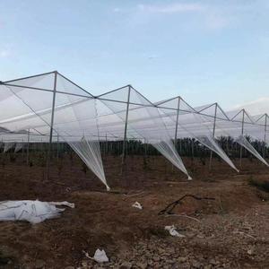 Ernte Frost Anti Hagel Netz Obstbaum Schutz netz Anti Kälte Anti Hagel Netz