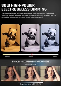 ZSYB ไฟวิดีโอ LED 80W แบบพกพาสำหรับ W80B มืออาชีพสำหรับการถ่ายภาพติ๊กต๊อกและยูทูปที่มีการควบคุมด้วยแอป - Product Image 4