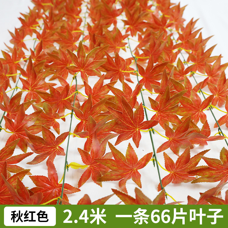 Maple vines - autumn red