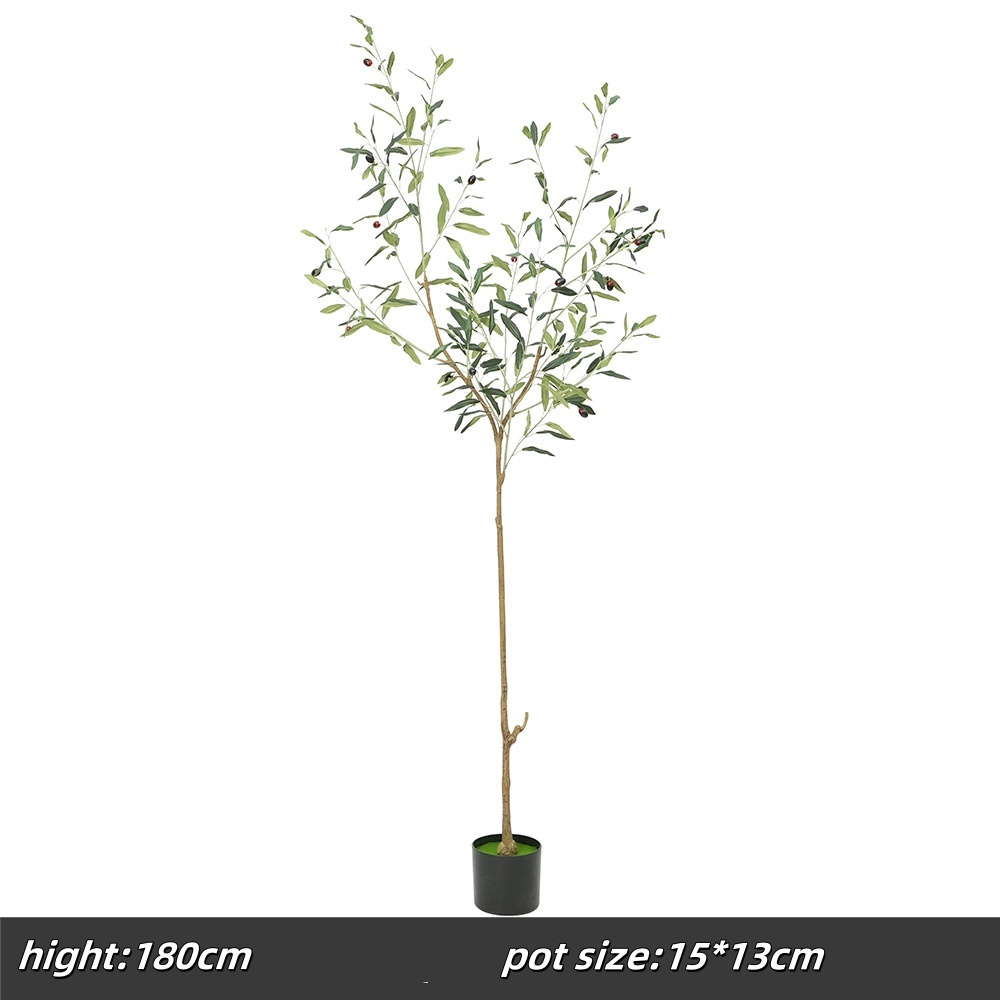 180cm olive tree, d