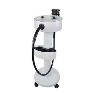 Venda quente G5 Slimming Beauty Machine 5-Head massagem corporal vibratória para pernas e braços AU Plug Standing Type - Product Image 4