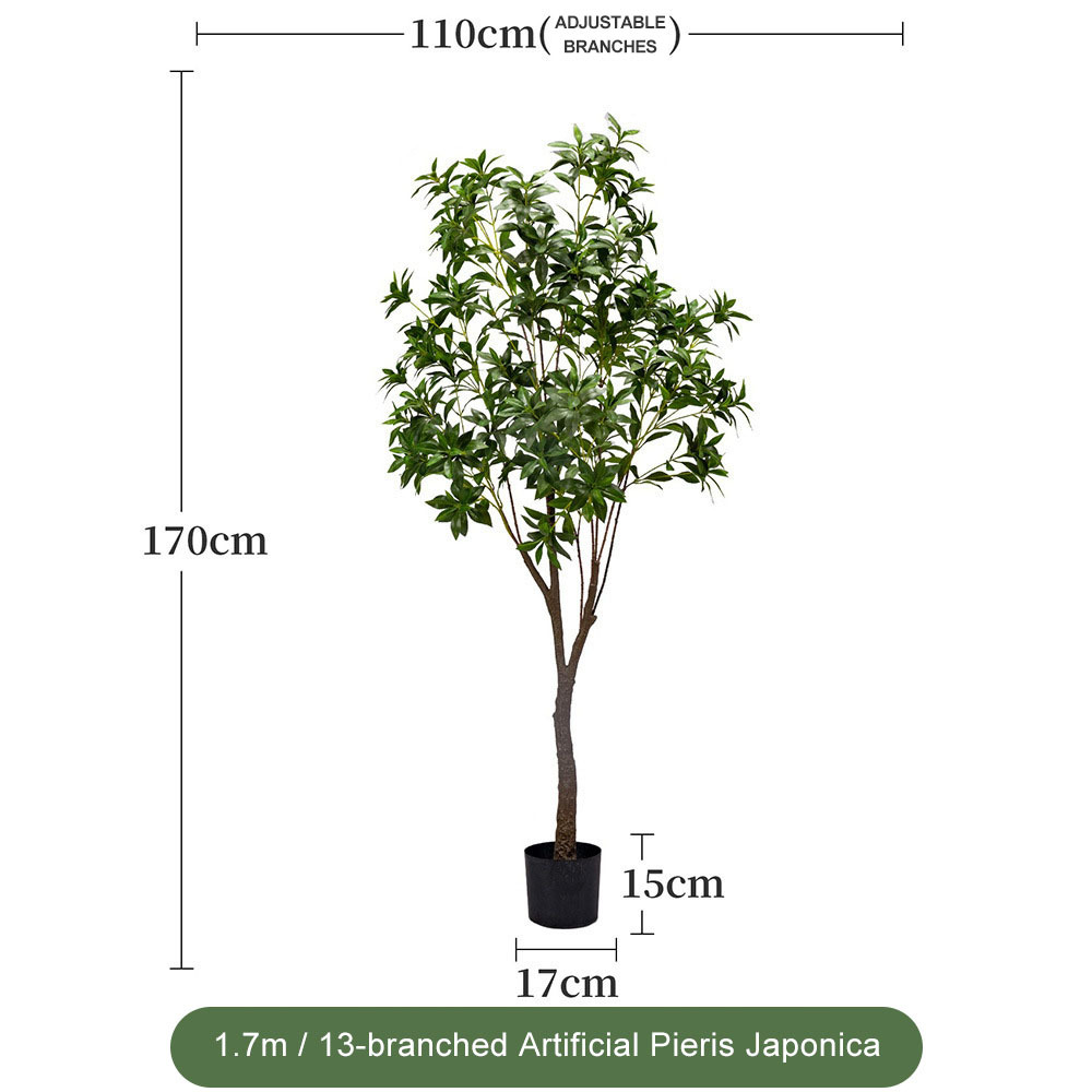 Branche de Pieris japonica VERT 1,7 m - 1,3 m - Feuillage plus dense et amélioré
