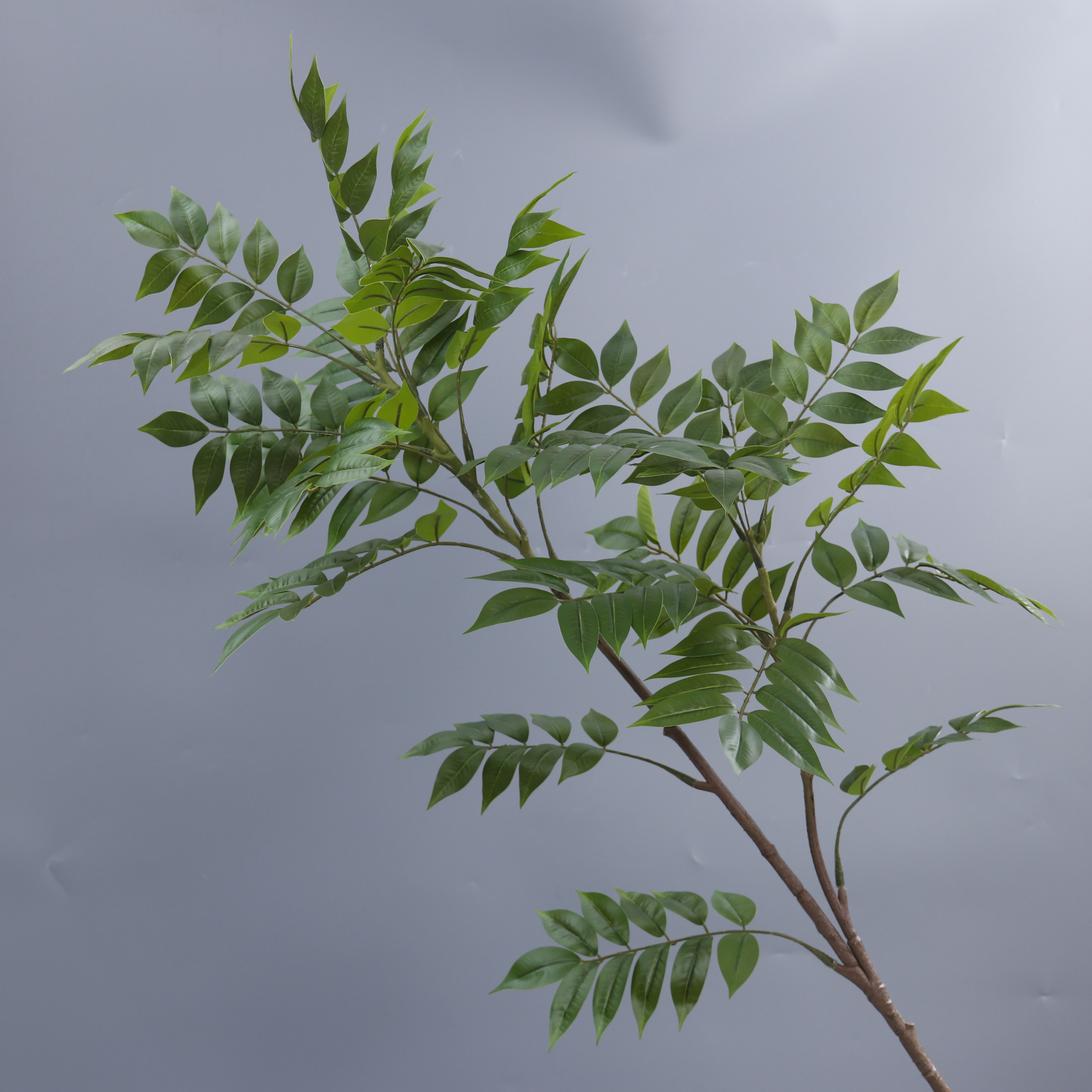 2-fork 25-head Green Single-stem