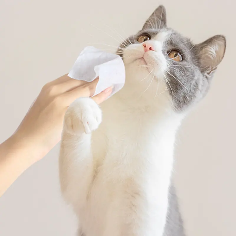 Reinigungs tücher für Haustiere ohne Spülung für Hunde und Katzen Trocken reinigung Tränen flecken pflege tücher Tragbare Haustier tücher bieten Toallas Para Mascota