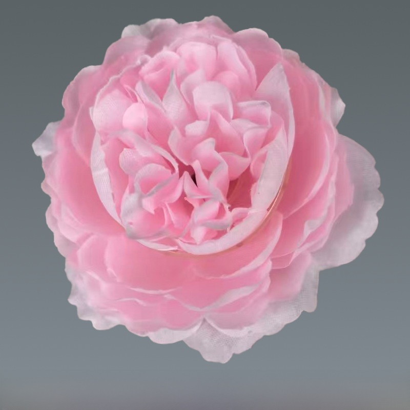 Pink single-stem peony