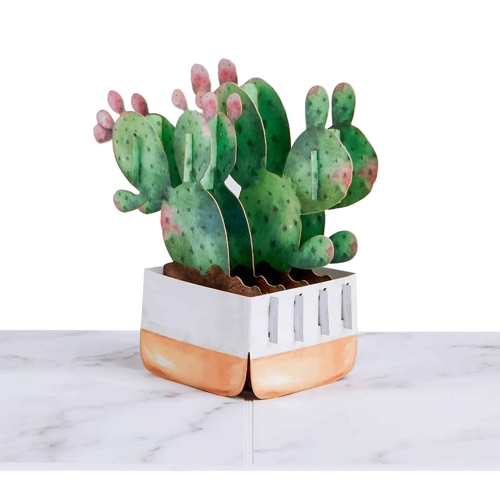 Nuevo diseño creativo 3D Pop Up Cards Bunny Ear Cactus para fiesta Luxury Recycle Pop Up Cards